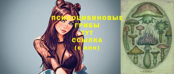 мяу мяу мука Краснослободск